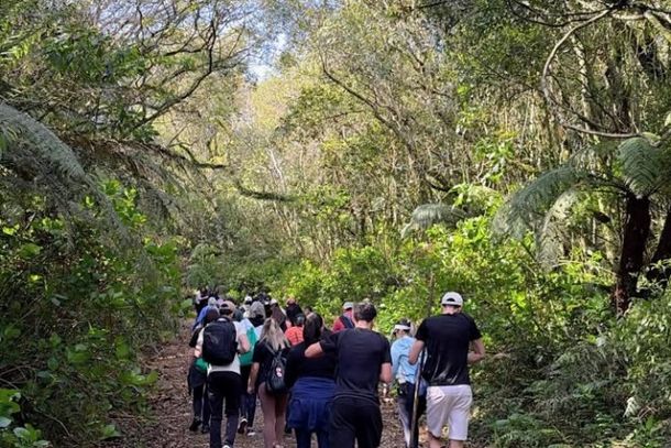 Academia Municipal de Canela re&uacute;ne 65 pessoas em caminhada ao Morro Pelado