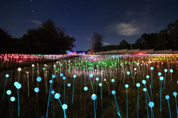 Lumni Gramado abre as portas da magia para as crian&ccedil;as com ingressos gratuitos em outubro