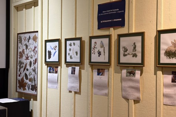 Museu Major Nicoletti de Gramado recebe exposi&ccedil;&atilde;o de arte bot&acirc;nica da Viva Planta