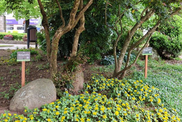 Nova Petr&oacute;polis lan&ccedil;a o projeto ecotur&iacute;stico &ldquo;Trilhas Vivas &ndash; Caminhos que Educam&rdquo;