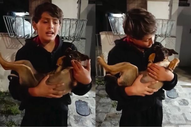 Gabriel resgata cachorrinha de maus-tratos e emociona a cidade com sua atitude