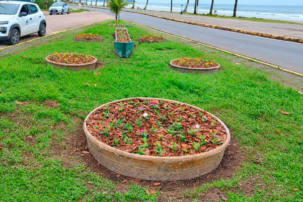Guaratuba inicia plantio de 6 mil mudas de flores e prev&ecirc; 700 &aacute;rvores