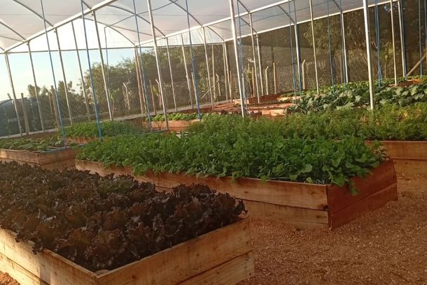Horta Comunit&aacute;ria marca o in&iacute;cio de um projeto voltado &agrave; alimenta&ccedil;&atilde;o saud&aacute;vel e ao desenvolvimento sustent&aacute;vel em Ibaiti.