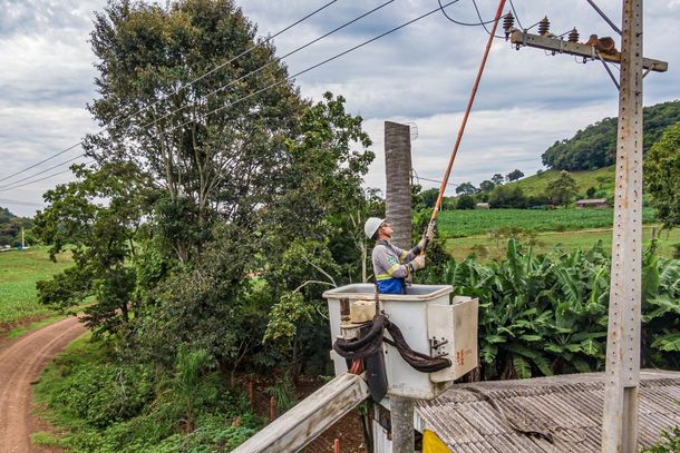 Redes el&eacute;tricas em &aacute;reas rurais passam a ter novas regras de manejo da vegeta&ccedil;&atilde;o.