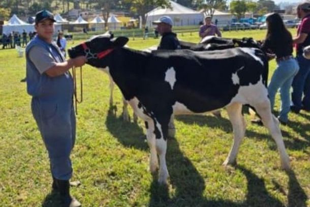 Isabela, campe&atilde; na categoria holand&ecirc;s e 7/8 de HPB de 13 a 24 meses