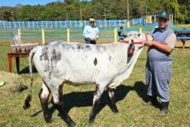 Candoca, campe&atilde; na categoria 1/2 de 13 a 24 meses