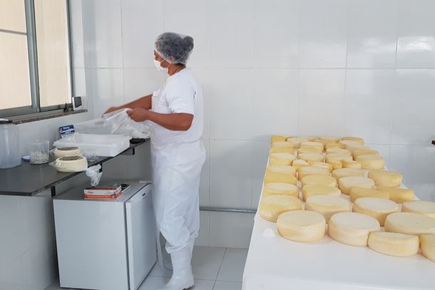Produtora embala queijos artesanais