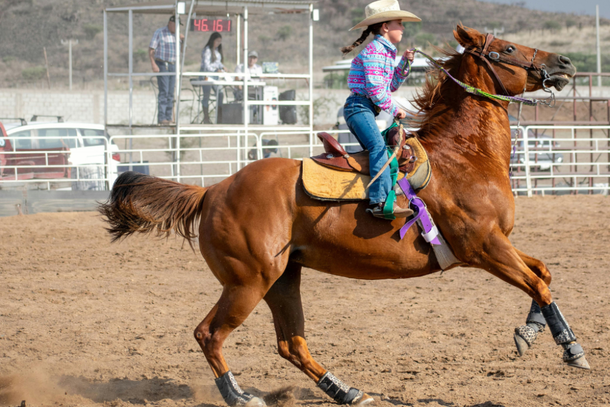 Amazona controla cavalo durante competi&ccedil;&atilde;o
