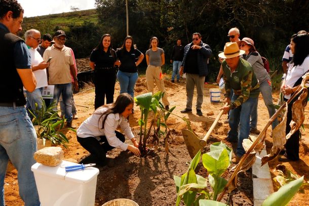 Hora de plantar as flores que v&atilde;o absorver a &aacute;gua da fossa