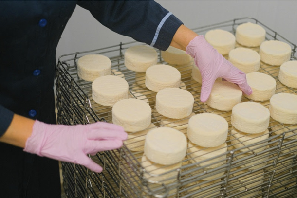 Fabrica&ccedil;&atilde;o de queijos