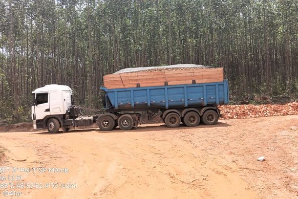 Caminh&atilde;o apreendido com carga de eucalipto