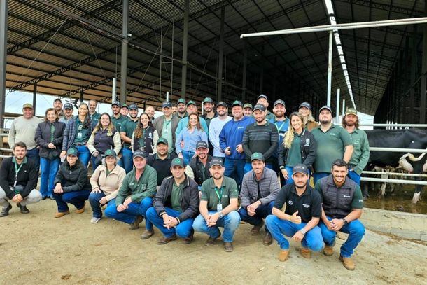 Grupo reunido