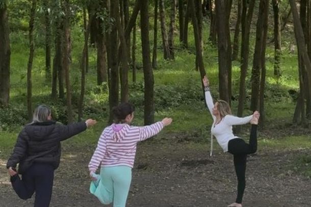 Oficina &ldquo;Passarinhar&rdquo; integrou programa&ccedil;&atilde;o em parque da Universidade do Porto.