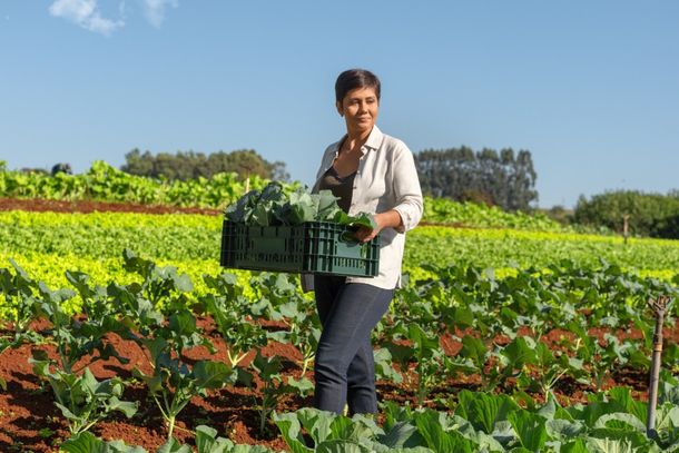 Sicredi Caminho das &Aacute;guas oferece solu&ccedil;&otilde;es para todas as etapas da atividade rural.