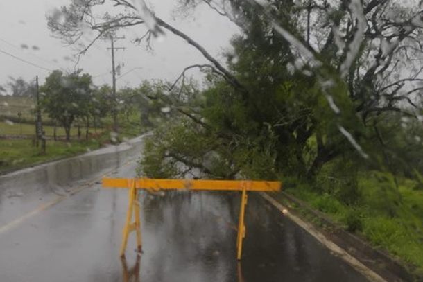 Forte vendaval atinge o munic&iacute;pio de Parob&eacute; e deixa mais de 1,6 mil pessoas afetadas