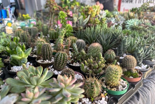 Feira da Rua Coberta acontece neste s&aacute;bado (10) no munic&iacute;pio de Taquara