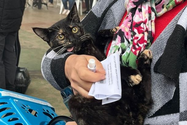 Parob&eacute; amplia projeto de castra&ccedil;&atilde;o e microchipagem com cerca de 800 vagas para pets