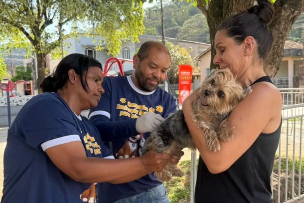 Tim&oacute;teo realiza segundo Dia D de Vacina&ccedil;&atilde;o Antirr&aacute;bica para c&atilde;es e gatos no s&aacute;bado (19)