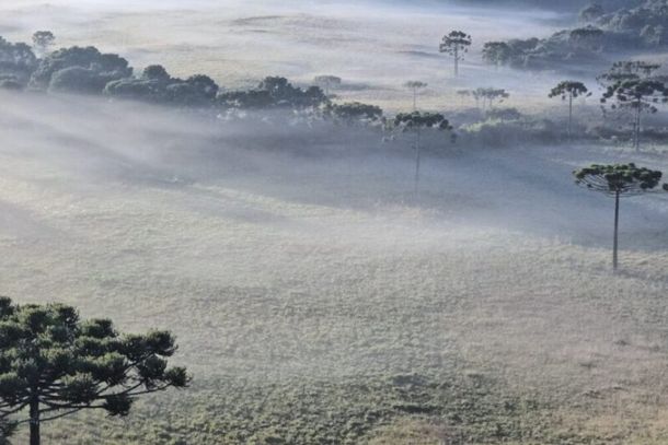 Frio intenso e possibilidade de geada em SC