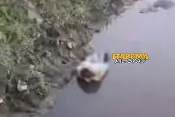 Cachorro &eacute; encontrado morto dentro de saco em rio no bairro Morretes, em Itapema