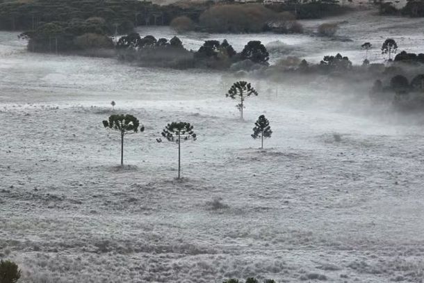 Previs&atilde;o do tempo para Santa Catarina 