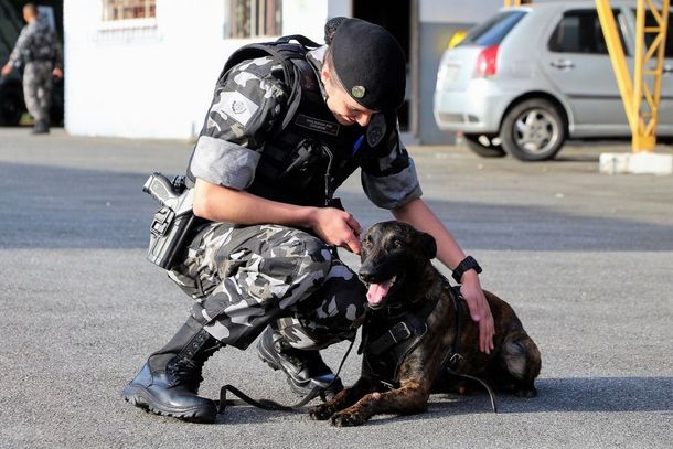 Bope integra primeira mulher no treinamento de c&atilde;es policiais