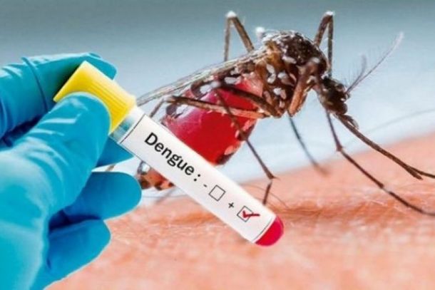 Jacarezinho interrompe programa efetivo no combate &agrave; dengue