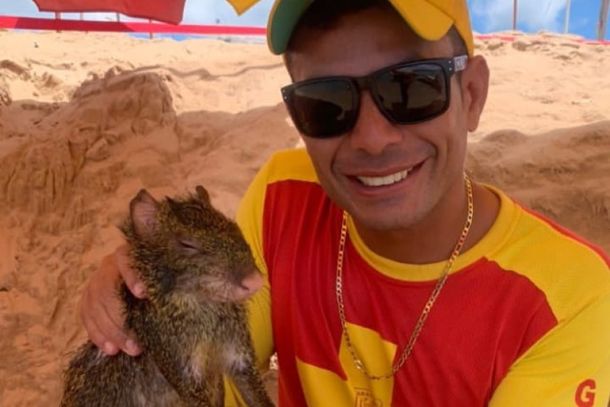 Depois que se recuperou, animal foi solto em seu habitat.
