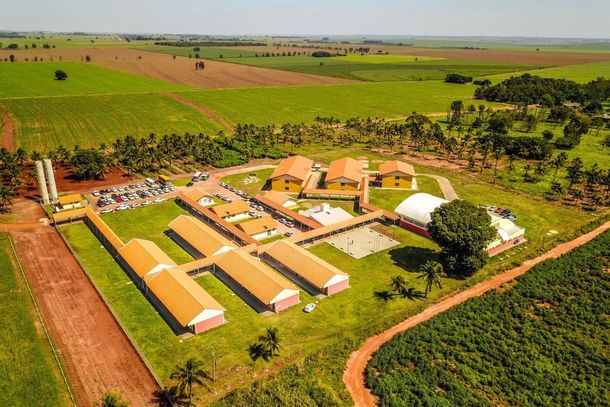 O objetivo da lei &eacute; garantir maior efici&ecirc;ncia e agilidade &agrave;s demandas dessas institui&ccedil;&otilde;es.