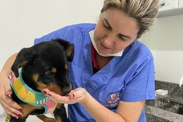 Somente o m&eacute;dico veterin&aacute;rio &eacute; habilitado para indicar e aplicar vacinas.