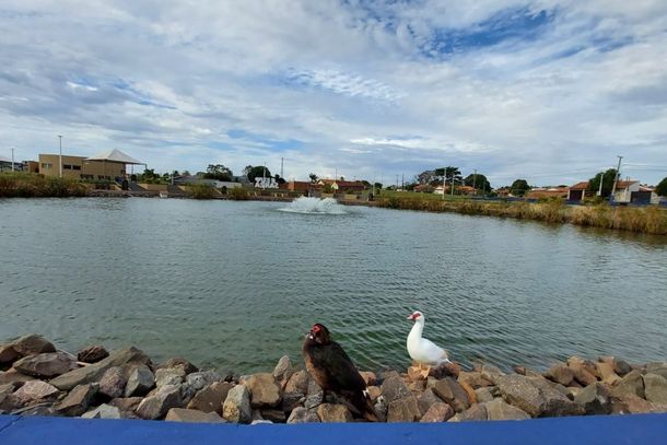 Lago do Parque Urbano Ad&atilde;o de Almeida Ramos