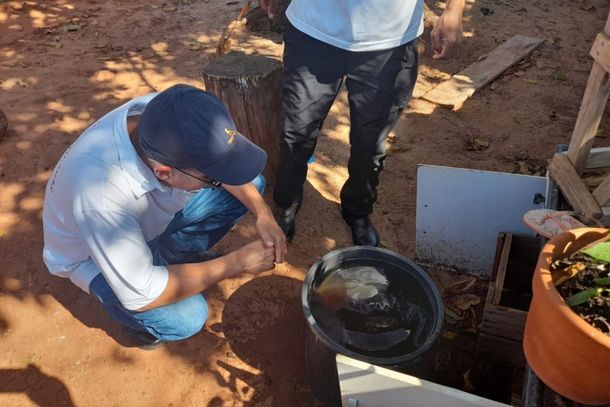 O bairro com mais foco de dengue na capital das torneiras &eacute; a Vila Vit&oacute;ria.