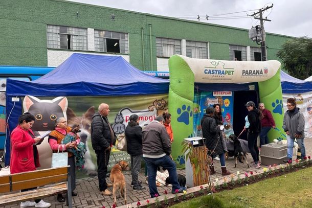 O Programa Permanente de Esteriliza&ccedil;&atilde;o de C&atilde;es e Gatos j&aacute; alcan&ccedil;ou quase 70% dos munic&iacute;pios do Estado nas tr&ecirc;s fases anteriores.