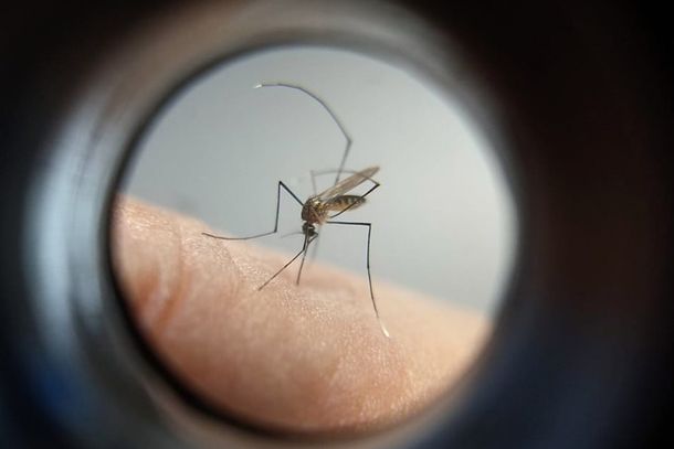Cidade j&aacute; registrou 46 casos confirmados da doen&ccedil;a desde julho do ano passado.