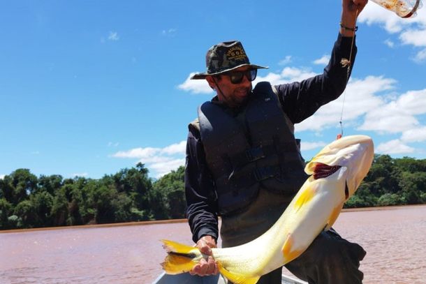 Os Peixes protegidos ser&atilde;o dourado, pintado, ja&uacute;, lambari, entre outros nativos.