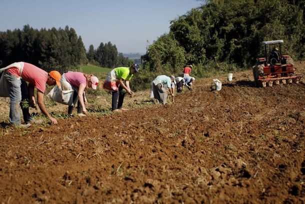 Agricultores ter&atilde;o at&eacute; o dia 3 de fevereiro para se adequar &agrave;s novas regras
