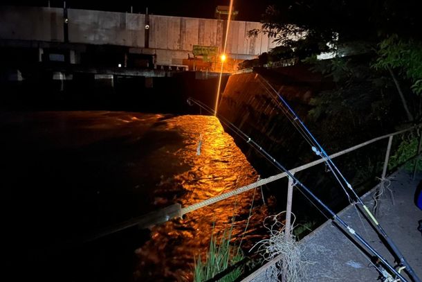 Ocorr&ecirc;ncia foi registrada pela Pol&iacute;cia Militar (PM) Ambiental.