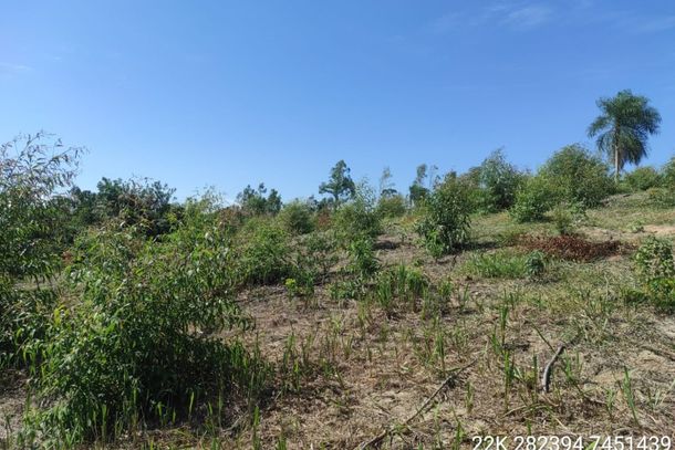 A Pol&iacute;cia Militar (PM) Ambiental registrou a ocorr&ecirc;ncia.