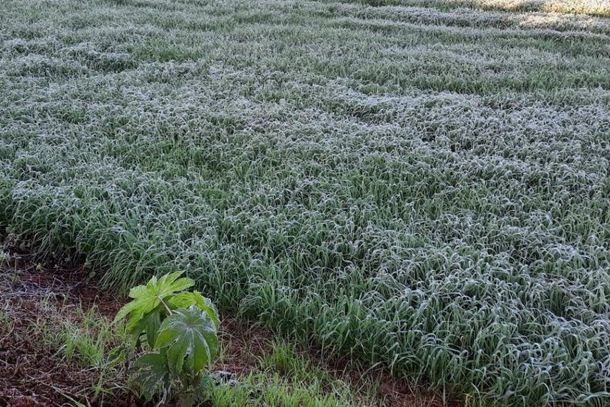 Massa de ar polar fez as temperaturas despencarem no Paran&aacute;.