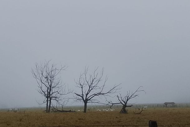 Pancadas de chuva est&atilde;o previstas para sexta-feira (19).