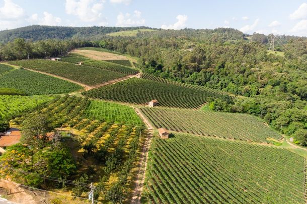 Vista a&eacute;rea de uma vin&iacute;cola em Louveira