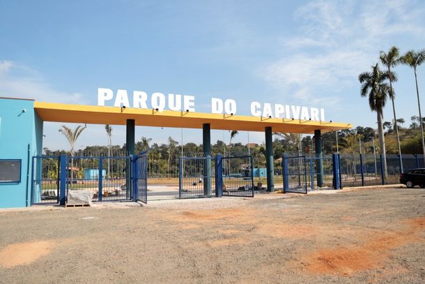 Reprodu&ccedil;&atilde;o