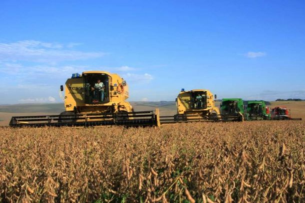 Lucas do Rio Verde e outras 10 cidades mato-grossenses ocupam 55% do n&uacute;mero de munic&iacute;pios com maior PIB agr&iacute;cola do Brasil, entre os 20 melhores