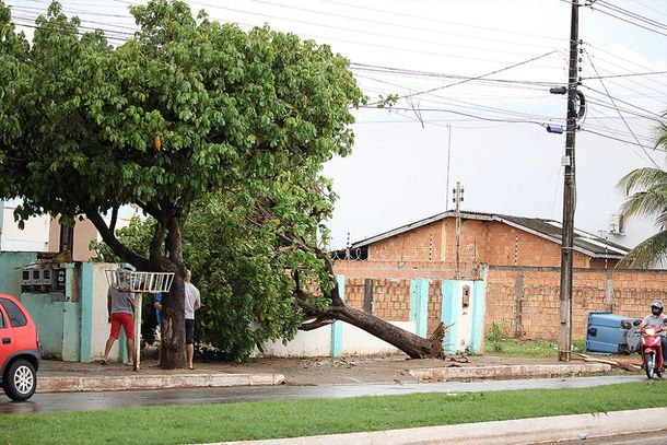 Forte chuva derrubou &aacute;rvores na cidade de Lucas do Rio Verde