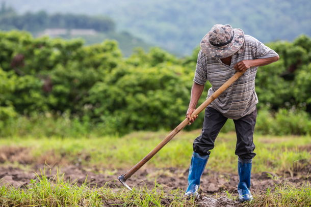 Produtor Rural