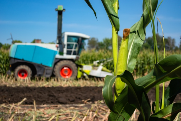 Processo de silagem contribui para o desenvolvimento rural