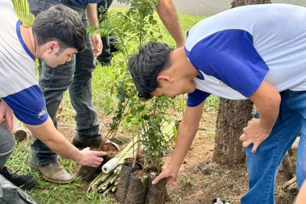 Estudantes da Escola Tufi Madi plantam 25 &aacute;rvores em a&ccedil;&atilde;o pelo Dia da &Aacute;rvore em Mirassol
