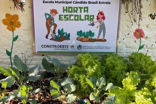 Horta escolar vira sala de aula a c&eacute;u aberto na C&acirc;ndido Brasil Estrela, em Mirassol