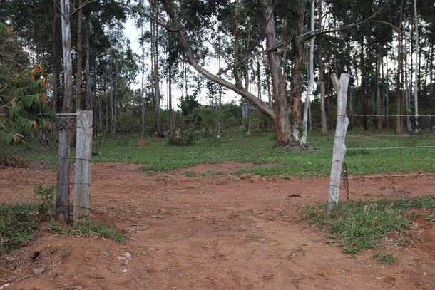 Circuito Horto Vivo ter&aacute; corrida, bike e caminhada neste domingo