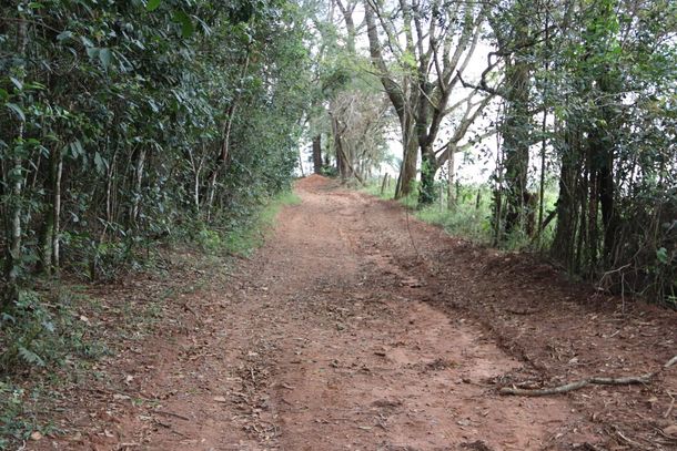 Circuito Horto Vivo ter&aacute; corrida, bike e caminhada neste domingo